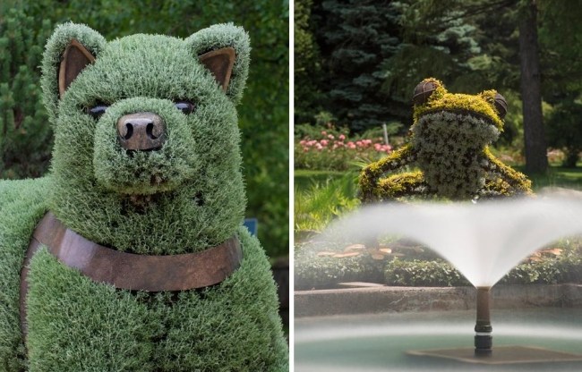 مشتل الحديقة النباتية - تمثال نافورة مونتريال المائية - ضفدع الكلب
