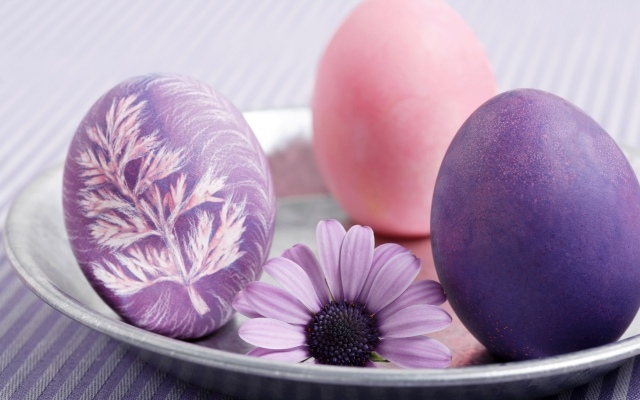 بيض عيد الفصح أفكار تصميم أوراق البقدونس الأرجواني الوردي