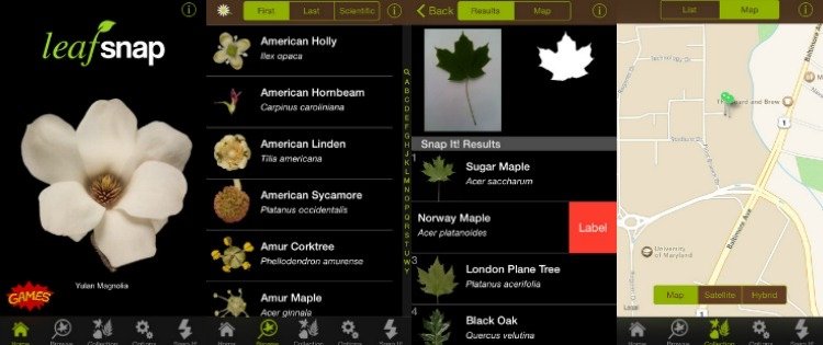 التعرف على النباتات -App- الهاتف الذكي- ورقة- المفاجئة