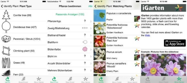 النباتات-تحديد-التطبيق-التكنولوجيا-الهاتف الذكي- iPplant-