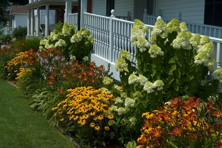 رعاية النباتات شجيرات شجيرات الزينة حديدي الشرفة