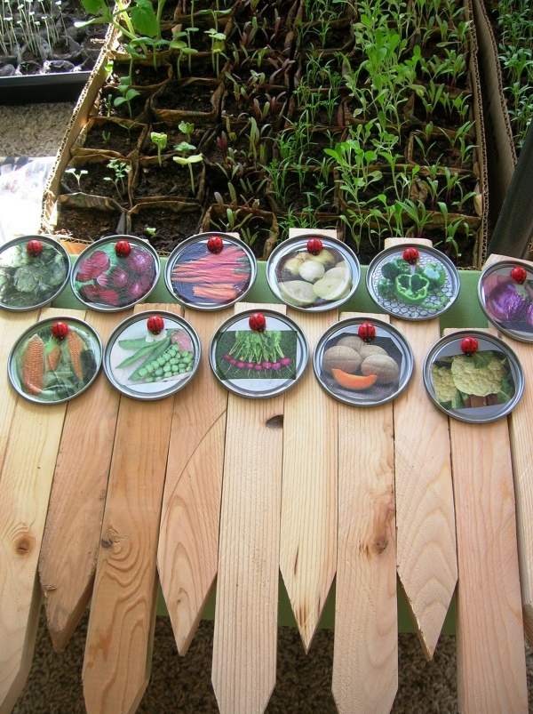 تقوم اللافتات النباتية بنفسك بعمل صور خشبية لغطاء من الألومنيوم للخضروات