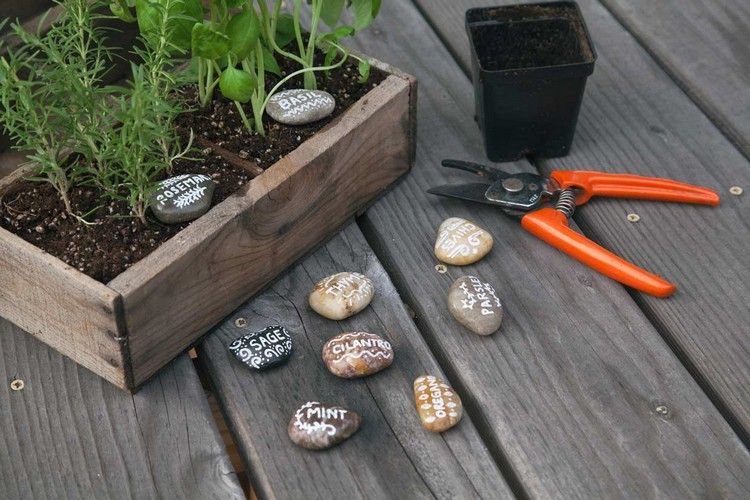 اصنع علامات نباتية بنفسك - ارسم أحجارًا صغيرة