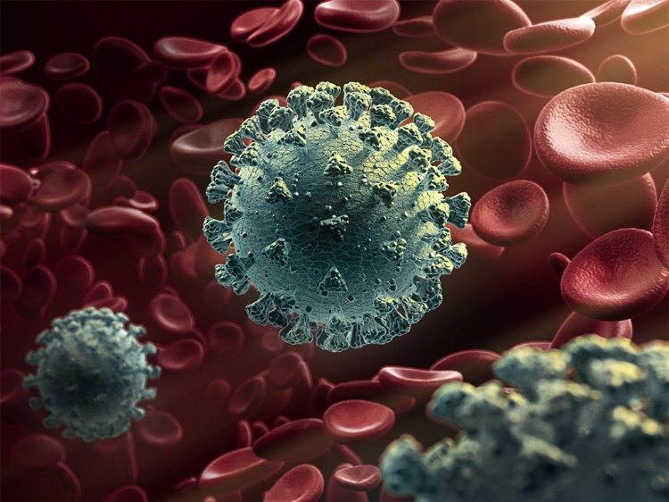 خلايا الدم الحمراء في مجرى الدم بجانب فيروس كورونا سارس كوف 2