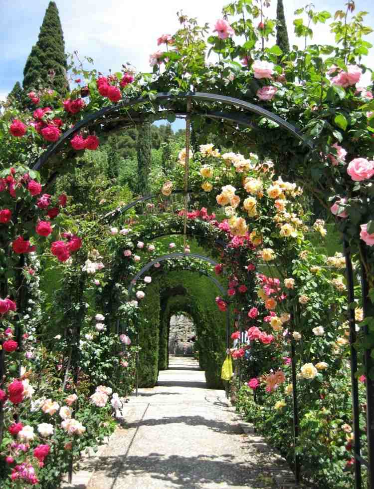 قوس من الورود حديقة-حديقة-محلاق-المعونة-الصلب-تسلق-الورود-الأبيض-الوردي-الأصفر