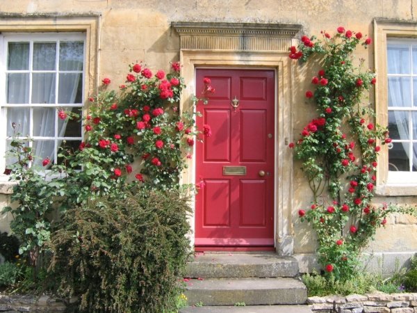 قطع الورود المتسلقة تسلق جدار الباب الأمامي الأحمر