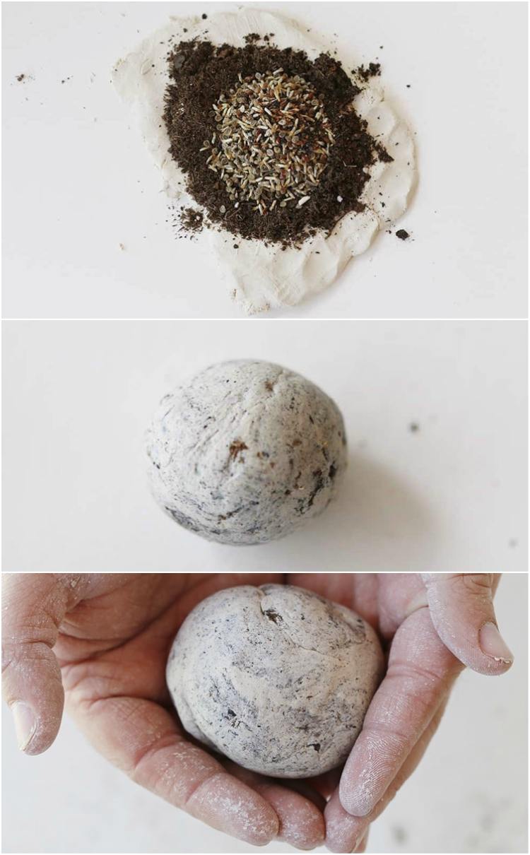 صنع قنابل البذور بنفسك وصفة بذور التربة الطينية