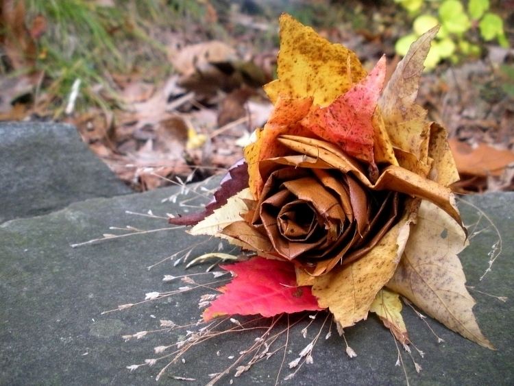 الخريف-الديكور-العبث-الخريف-الأوراق-شتراوس-الورد-العبث-الخلاق-جميل