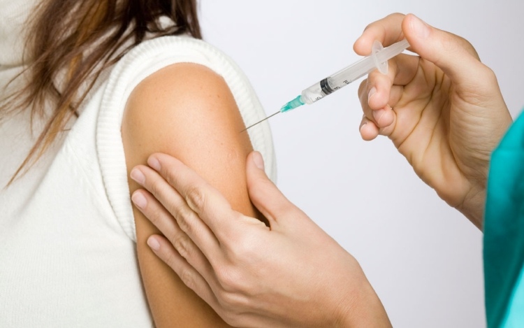 فيروسات التطعيم ضد الانفلونزا