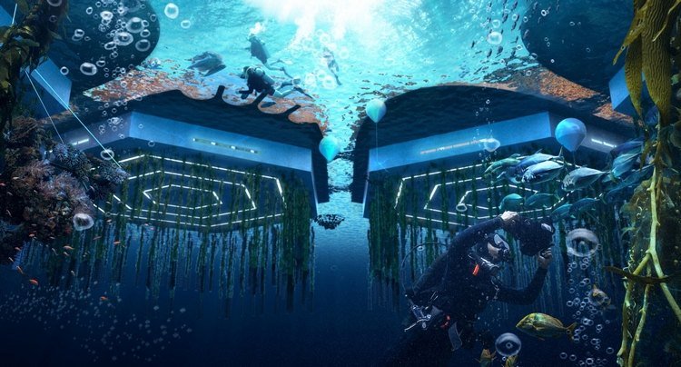 عرض تحت الماء لمدينة Oceanix المدينة العائمة ثلاثية الأبعاد