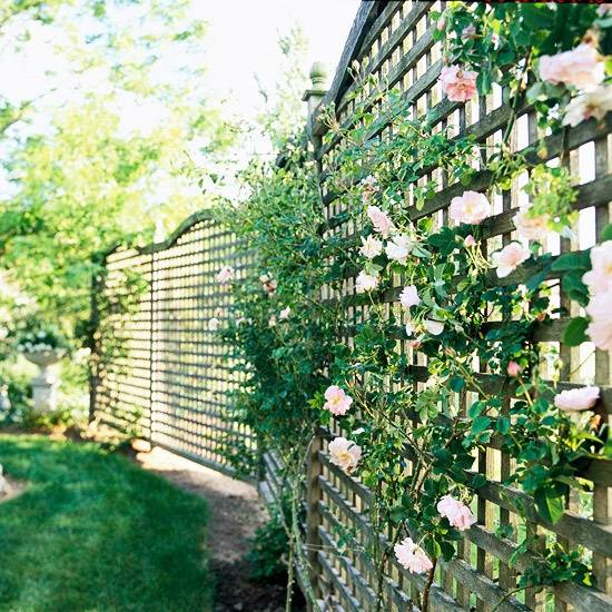 شاشة الخصوصية حديقة الخشب شاشة تسلق الورود السور