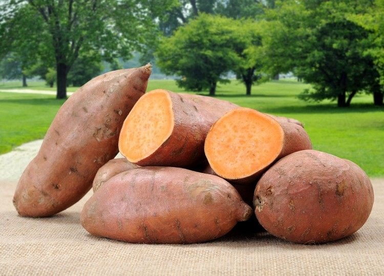 وصفات البطاطا الحلوة مقطعة بالكامل-نكهة-نباتية-منخفضة الكربوهيدرات-لذيذة