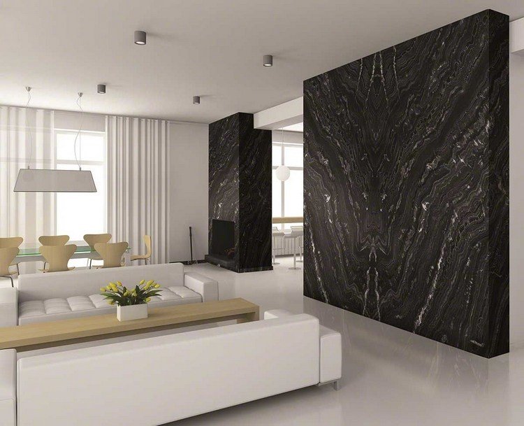 لهجات حائط مصنوعة من الجرانيت الأسود في غرفة المعيشة ذات التصميم الأبيض