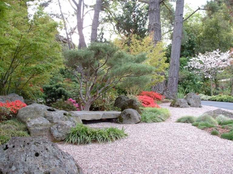 حديقة صخرية - تخلق - أفكار - أشجار القيقب - نباتات - يابانية