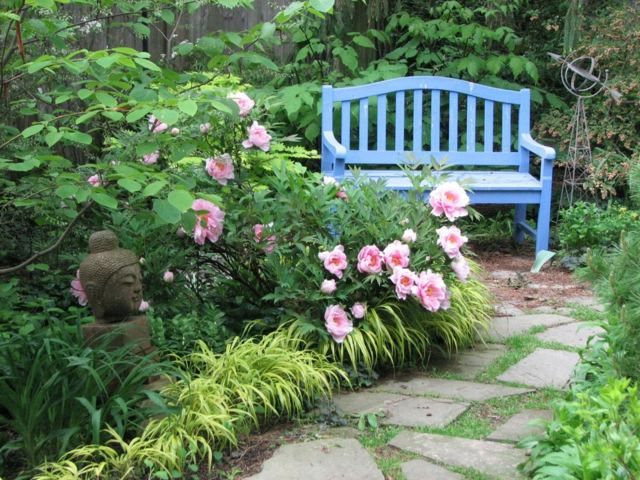 وضع ألواح حجرية يؤدي إلى مقاعد البدلاء الورود الزرقاء الوردي