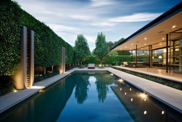 شاشة الخصوصية لنباتات التحوط - حديقة منزل بسيطة - مع حوض سباحة