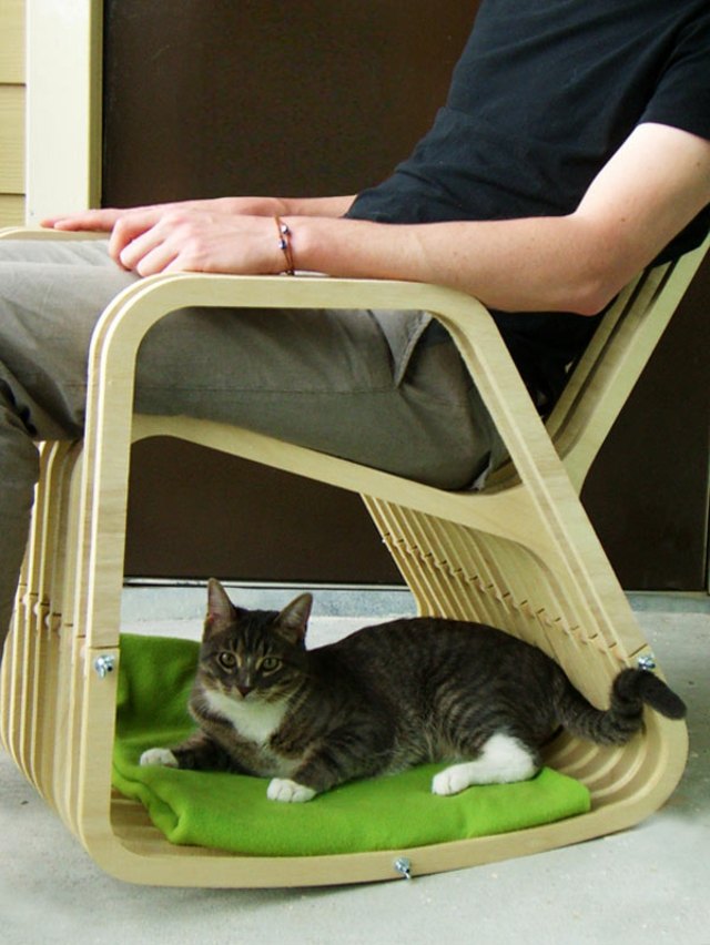 مهد كرسي وسرير قطة على بطانية