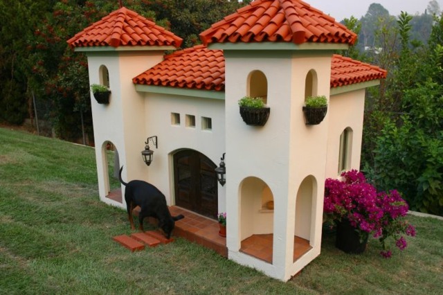 منزل الكلب بطابقين حديقة المنزل