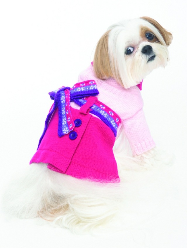 الأزرق القوس الوردي اللباس الكلب الملابس