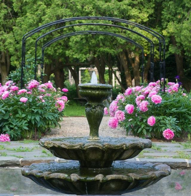 خلق نمط الفاوانيا الزهور الوردية العريشة حديقة نافورة