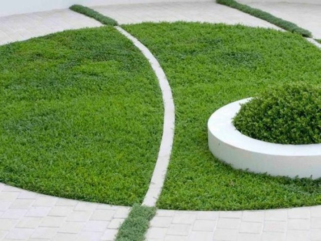أفكار التصميم جز العشب حول أفكار الشكل