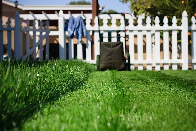 نصائح جز العشب الحيل الربيع الرعاية حديقة سياج اللون الأبيض