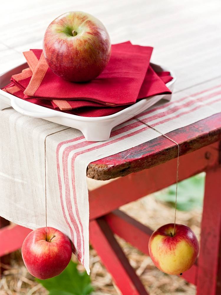 أثقال مفرش المائدة مصنوعة من مواد طبيعية أفكار Apple DIY