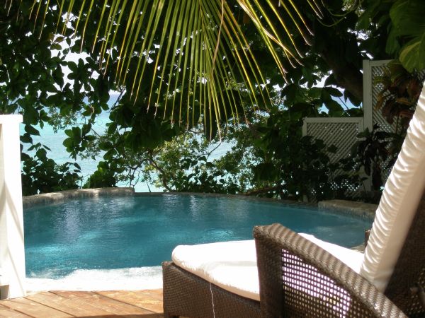 شرفة صالة أشجار النخيل حديقة دوامة حمام سباحة أثاث فناء من الروطان جامايكا إن