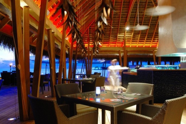 منتجع سبا في التصميم الداخلي لمطعم جزر المالديف
