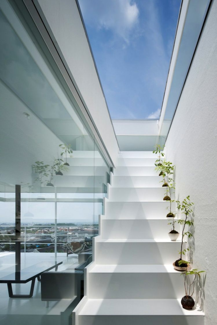 السلالم في أسلوب الحد الأدنى كوة الجدار الزجاجي النباتات خطوات الديكور