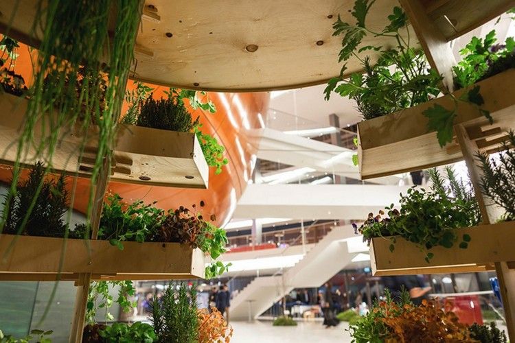 الزراعة الحضرية مستقبلية حديقة المدينة التصميم المبتكر مفهوم المشروع hyrdrokultur النباتات الخشبية المزارعون السلالم
