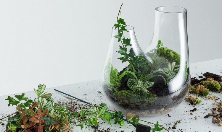 الزراعة الحضرية مستقبلية حديقة المدينة التصميم المبتكر مفهوم المشروع hyrdrokultur النباتات حاوية زجاجية