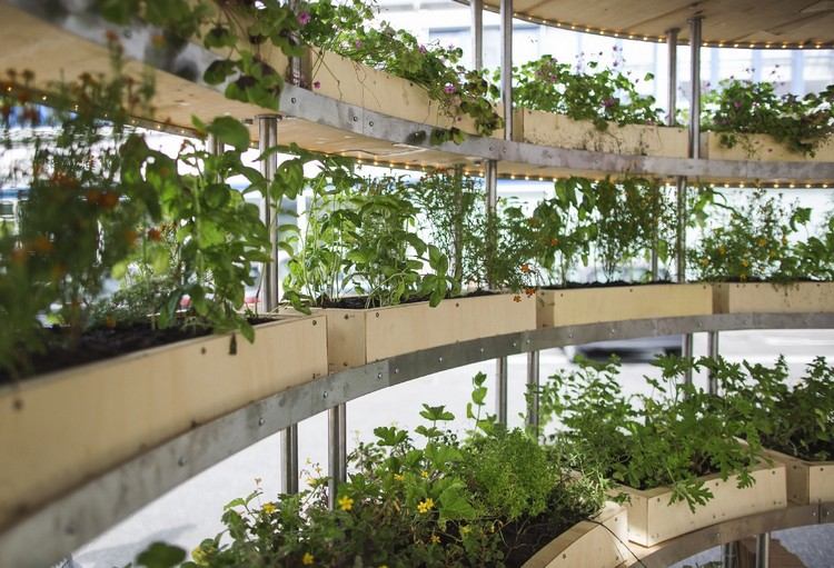 الزراعة الحضرية مستقبلية حديقة المدينة التصميم المبتكر مفهوم المشروع النباتات hyrdrokultur المزارعون الخشب
