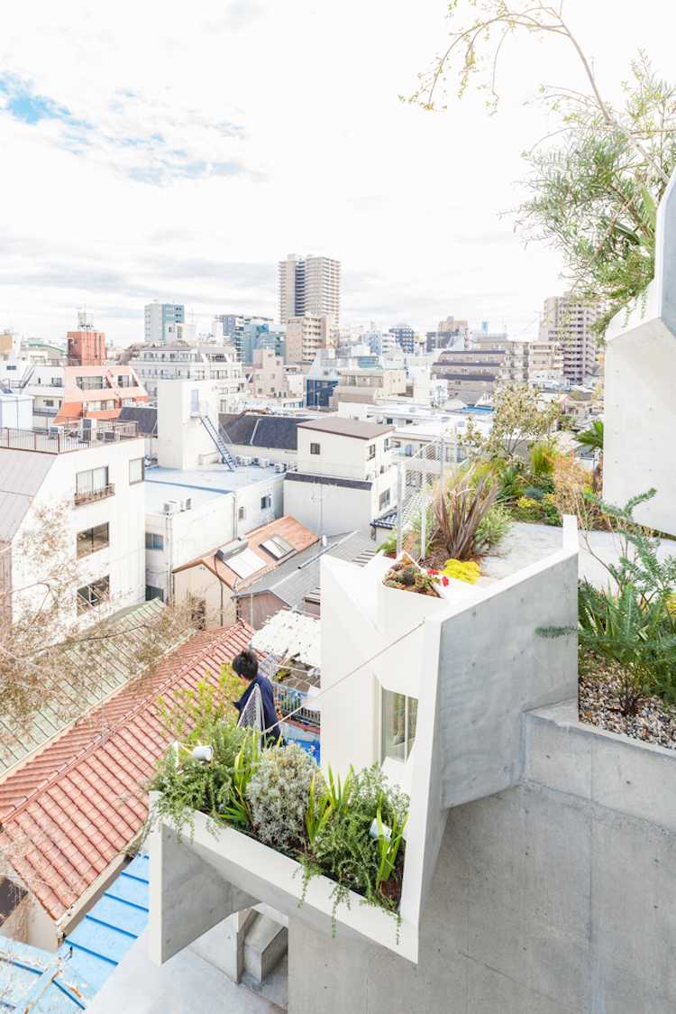 شرفات النباتات الخضراء الحضرية تطل على طوكيو