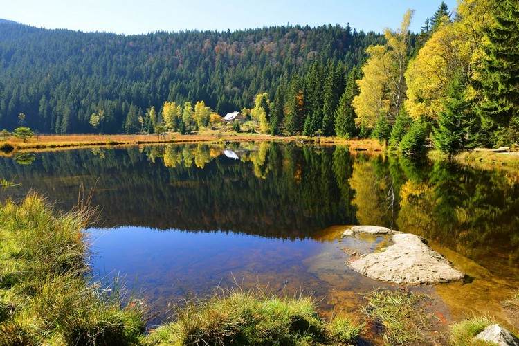 قائمة غابات Arbersee البافارية أجمل البحيرات في ألمانيا