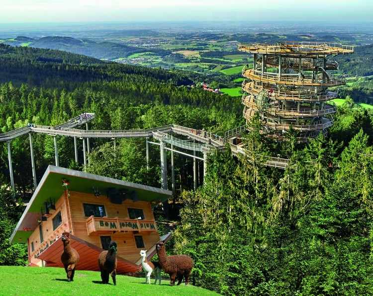 Waldwipfelweg بافاريا عطلة نصائح الغابات البافارية