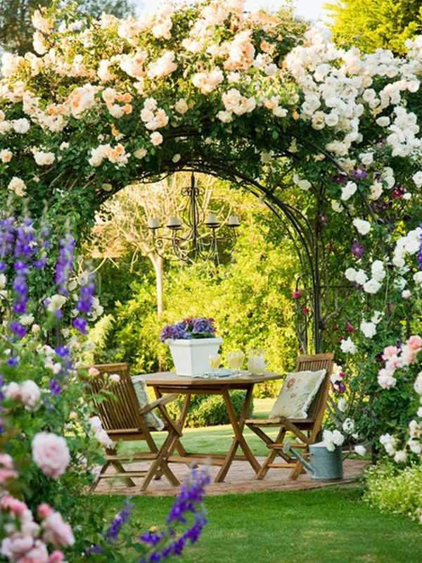 حديقة العريشة تسلق الورود البيضاء تخضير