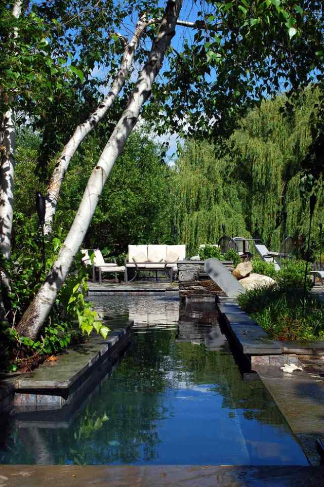 حمام سباحة حديقة منطقة جلوس في حديقة المناظر الطبيعية الظل شجرة