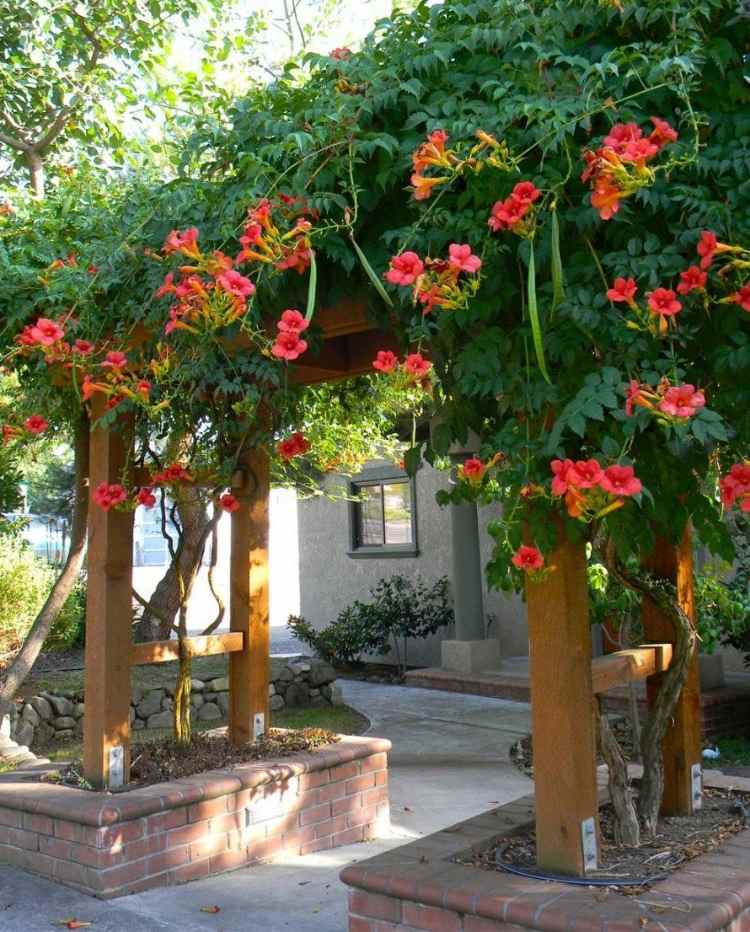 زهور حمراء من زهرة البوق عند المدخل في الفناء الأمامي