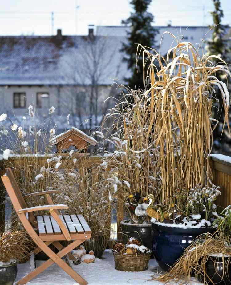 أعشاب الزينة في أصص على الشرفة في الشتاء
