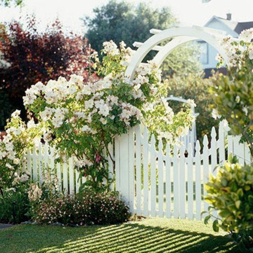 سياج الحديقة البيضاء نباتات التسلق الزهور البيضاء