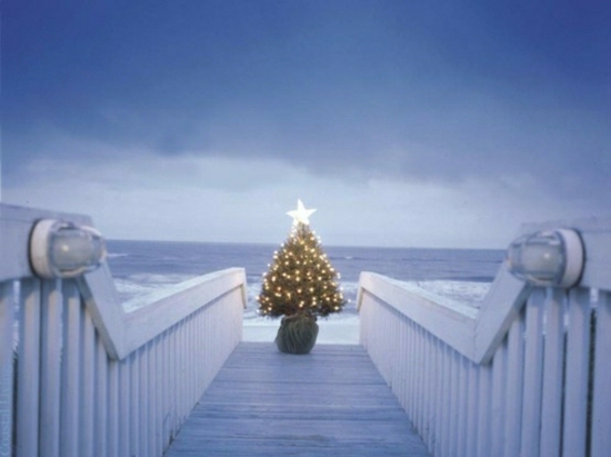 شجرة عيد الميلاد-الشرفة-الرومانسية-الشتاء