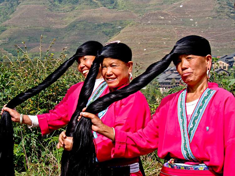 نساء ياو من الصين يغسلن شعرهن الطويل بماء الأرز