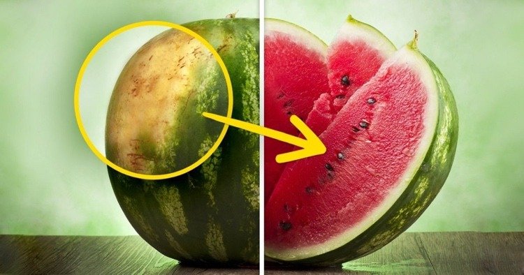 كيف تتعرف على البطيخ الجيد
